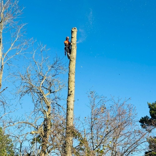 gardens-arborists