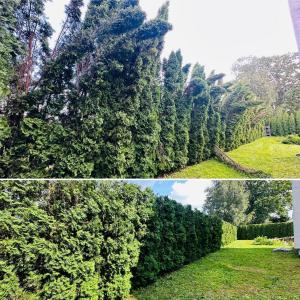 gardens-darzu-projektesana3